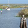 <p align=left>Au loin, le lac Okeechobee. 